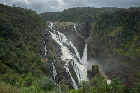 Barron Falls Lookout Track, Barron Gorge National Park - Accommodation Directory 0