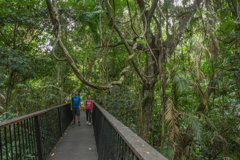 Barron Falls Lookout Track, Barron Gorge National Park - Accommodation Directory 2