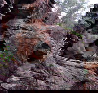 Bertha's Gully Walking Track - Accommodation Directory