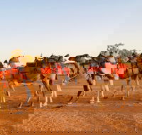 Broken Hill Camels - Accommodation Directory