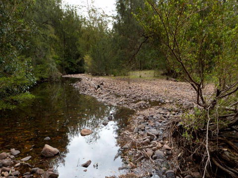 Budawang National Park - Accommodation Directory 0