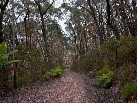 Budawang National Park - Accommodation Directory 1