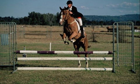 Camden Bicentennial Equestrian Park - Accommodation Directory 0