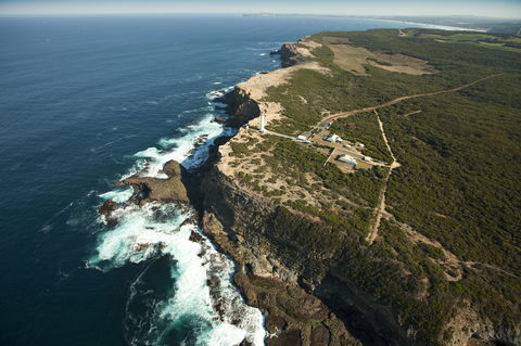 Cape Nelson State Park - Accommodation Directory 1