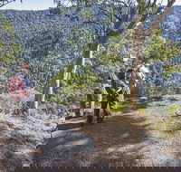 Caves circuit Lamington National Park - Accommodation Directory