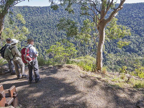 Caves Circuit, Lamington National Park - Accommodation Directory 0