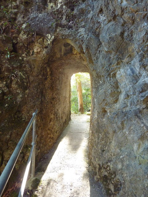 Caves Circuit, Lamington National Park - Accommodation Directory 1