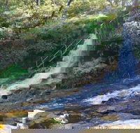 Charles Darwin walk - Accommodation Directory