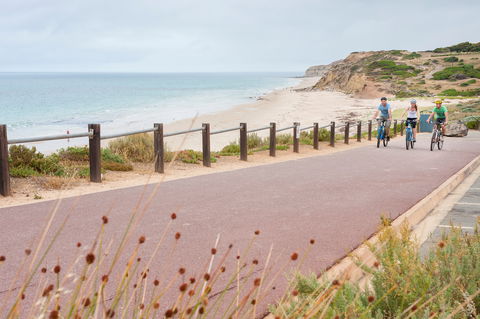 Coast To Vines Rail Trail - Accommodation Directory 0