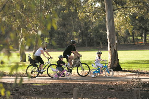 Coast To Vines Rail Trail - Accommodation Directory 1