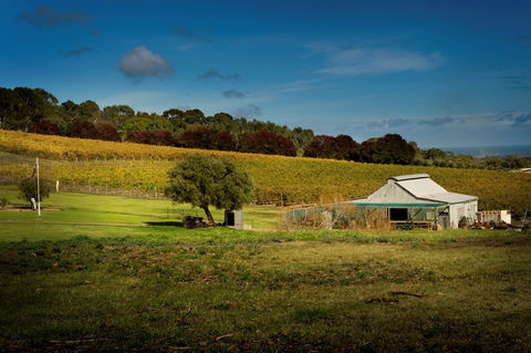 Coast To Vines Rail Trail - Accommodation Directory 2