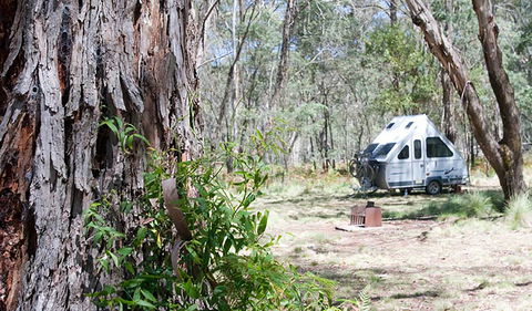 Coolah Tops National Park - Accommodation Directory 2