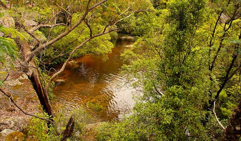 Girrakool Loop Track - Accommodation Directory 0
