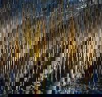 Hastings Caves and Thermal Springs - Accommodation Directory