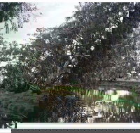 Henty Government Dam Nature Reserve - Accommodation Directory
