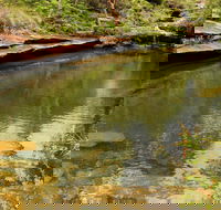 Hominy Creek Walking Track - Accommodation Directory