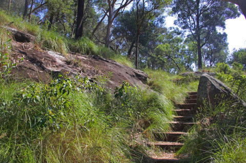 Ingleburn Reserve - Accommodation Directory 2