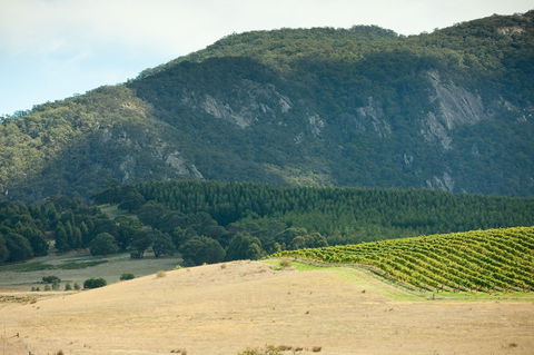Langi Ghiran State Park - Accommodation Directory 0