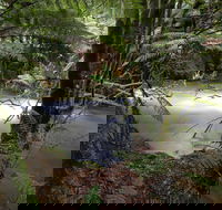 Marriotts Falls and Junee Caves - Accommodation Directory