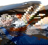 Maxs Motor Museum - Accommodation Directory