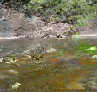 Mount Boss State Forest - Accommodation Directory