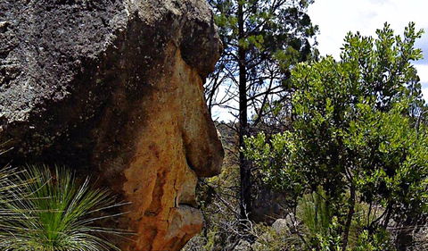 Mystery Face Walking Track - Accommodation Directory 0