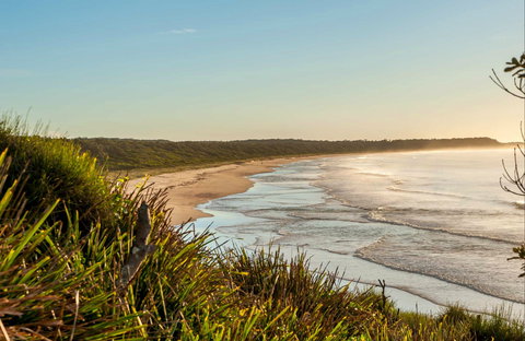 Narrawallee Creek Nature Reserve - Accommodation Directory 0
