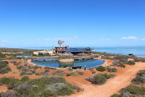 Ocean Park Aquarium - Accommodation Directory 1