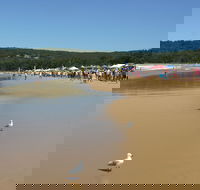 Ocean Beach Umina - Accommodation Directory