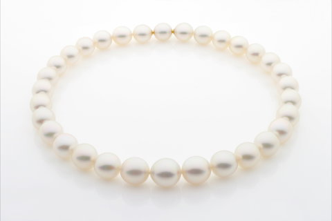 Paspaley - Accommodation Directory 1