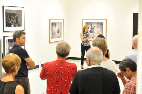 Pine Rivers Art Gallery - Accommodation Directory 1