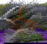 Rustique Lavender Farm - Accommodation Directory