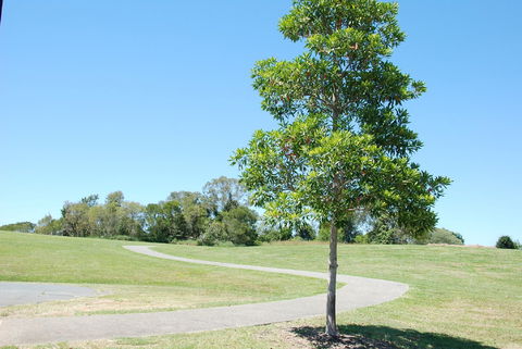 Samford Valley Rail Trail - Accommodation Directory 2