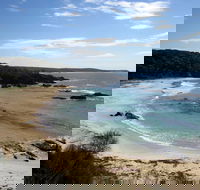 Snorkelling Mystery Bay - Accommodation Directory