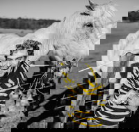 Spring Markets - Accommodation Directory