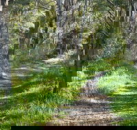 Stoodley Forest Walk and Arboretum - Accommodation Directory