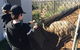 Taralga Wildlife Park - thumb 2