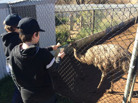Taralga Wildlife Park - Accommodation Directory 2