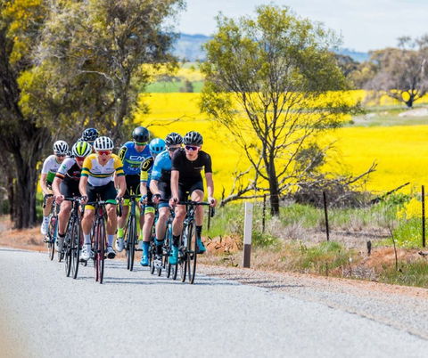 The West Side Story - Avon River Cycle Trail - Accommodation Directory 1