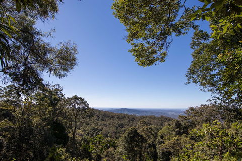 Thylogale Track - Accommodation Directory 2