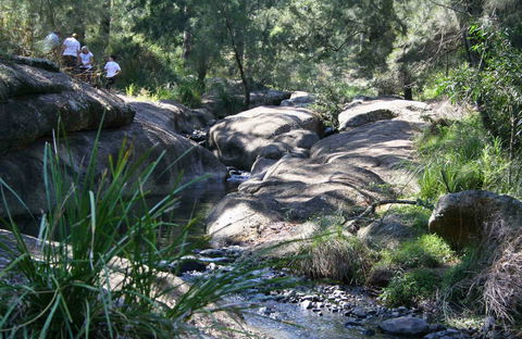 Towarri National Park - Accommodation Directory 0