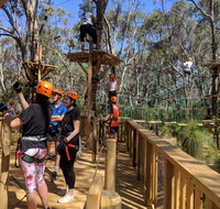 Trees Adventure - Yanchep Park - Accommodation Directory