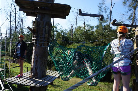 Trees Adventure - Lane Poole Park - Accommodation Directory 0