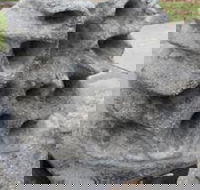 Windara Reef - Accommodation Directory