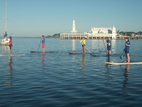 WSUP Stand Up Paddle Boarding - Accommodation Directory 0