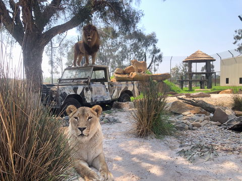 Zambi Wildlife Retreat - Accommodation Directory 0