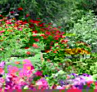 Alma Park - Accommodation Directory