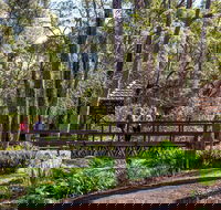 Armadale - Accommodation Directory