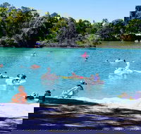 Black Diamond Lake - Accommodation Directory