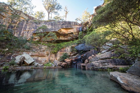 Blackdown Tableland National Park - Accommodation Directory 1